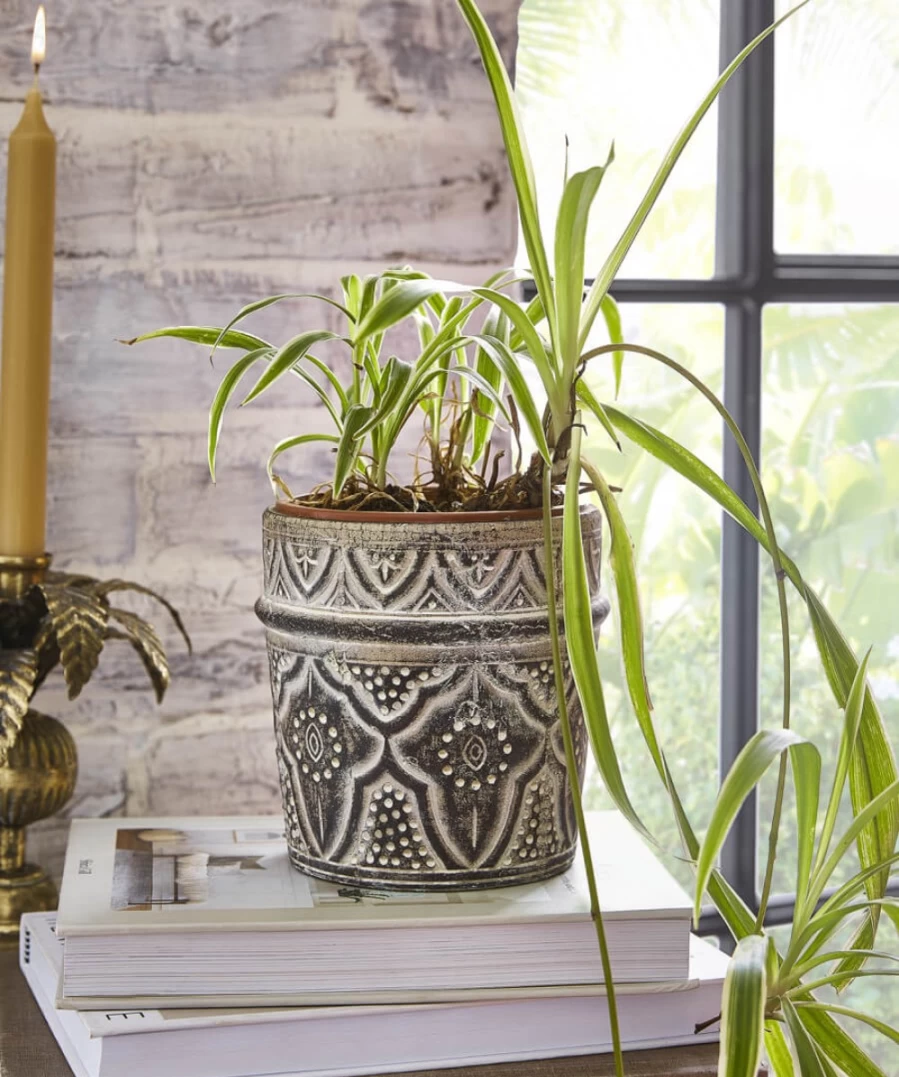 Joe Browns Natural Round Planter - Eclectic Home Decor by Sass & Belle