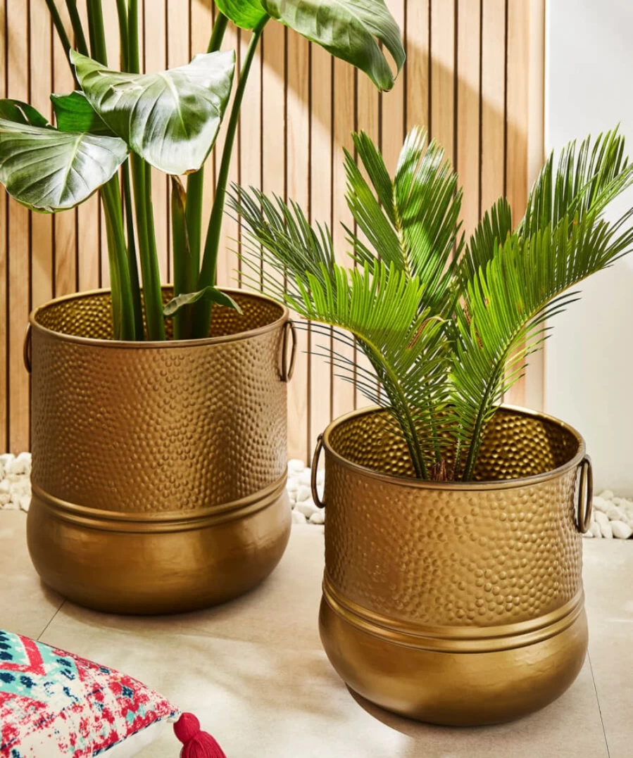 Joe Browns Gold Glorious En Planter - Elegant Decorative Flower Pot for Home & Garden