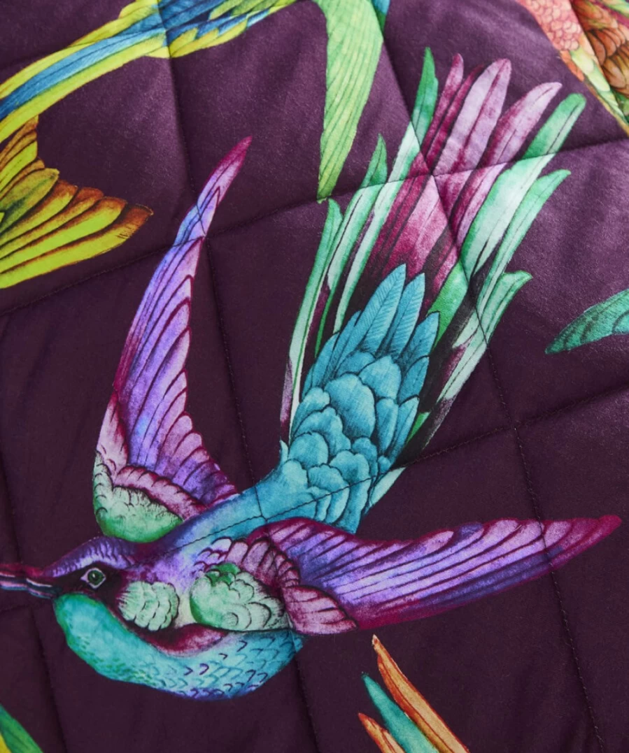 Joe Browns Bold Hummingbird Reversible Bedspread - Multi Color Pattern
