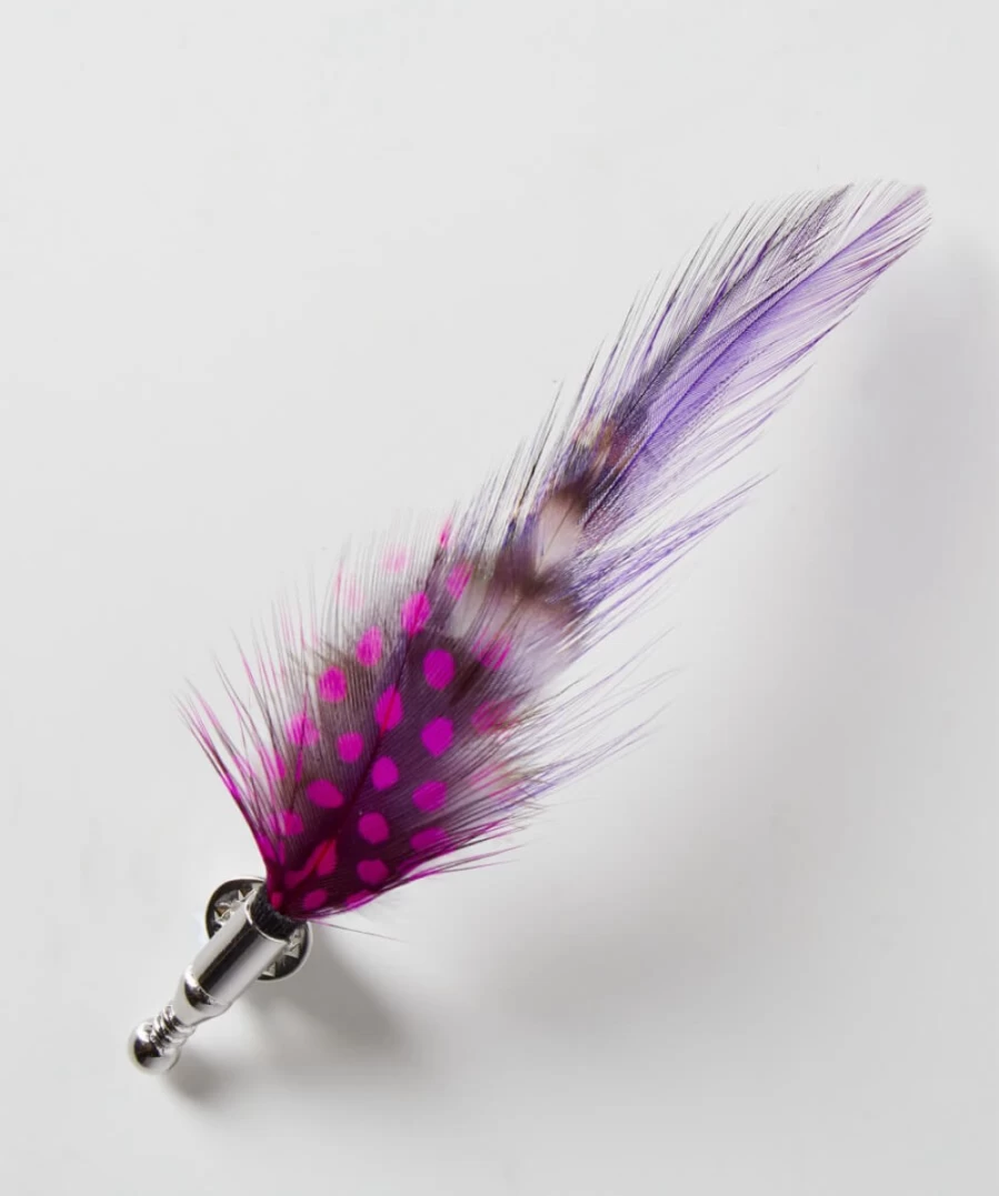 Joe Browns Men's Vibrant Multi-Color Feather Pin for Stylish Accessories