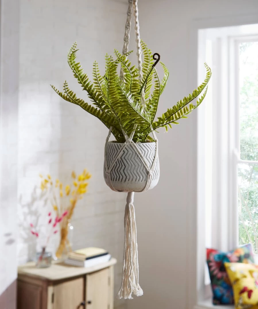 Joe Browns White Hanging Fern in Pot - Elegant Indoor Hanging Plant for Home Decor