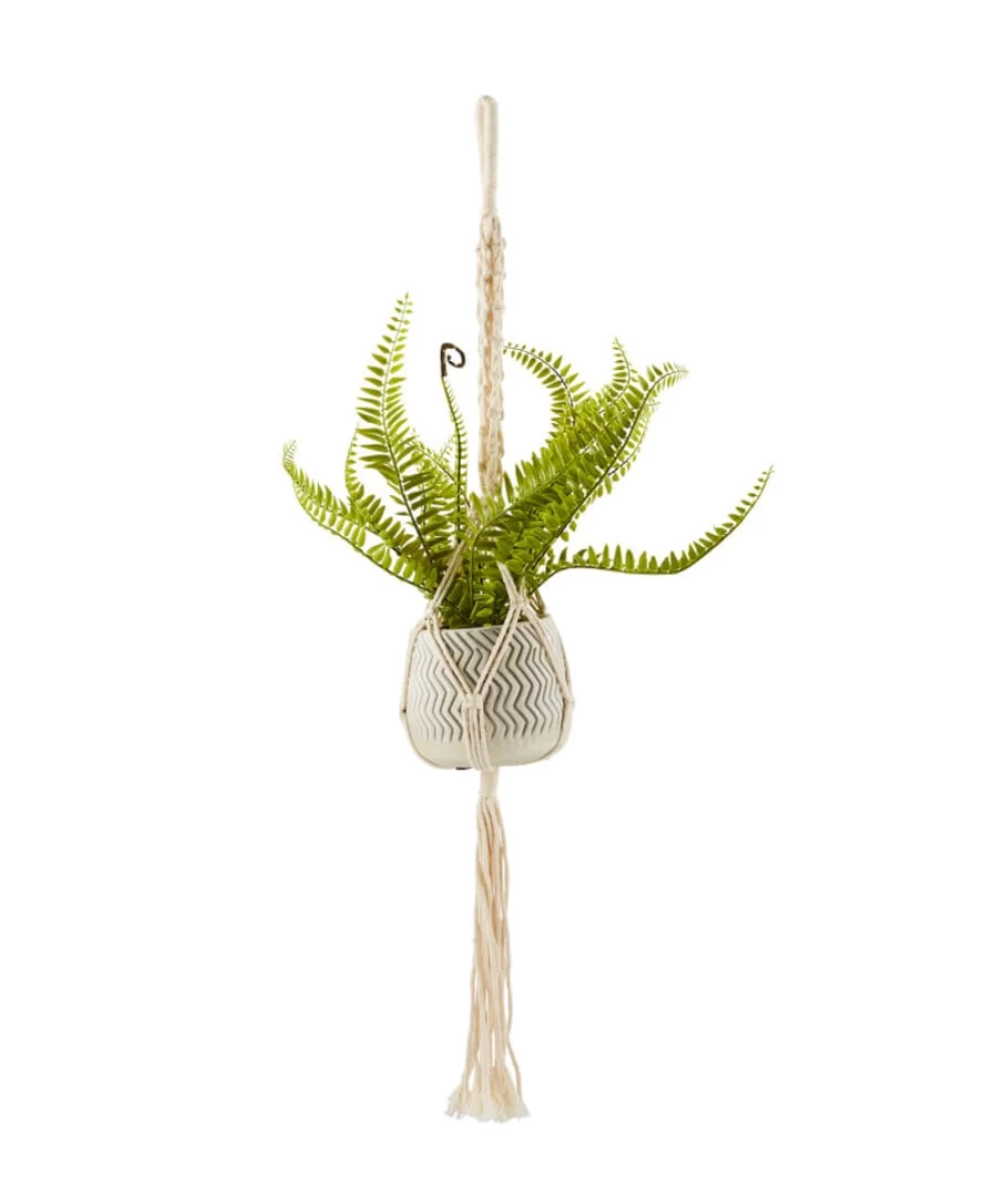 Joe Browns White Hanging Fern in Pot - Elegant Indoor Hanging Plant for Home Decor